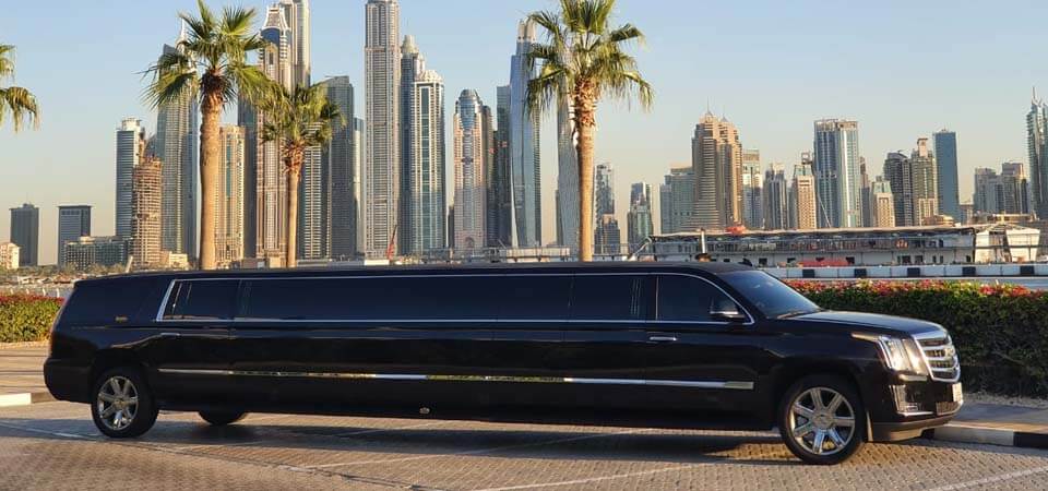 10  Seater Limo 1 hour