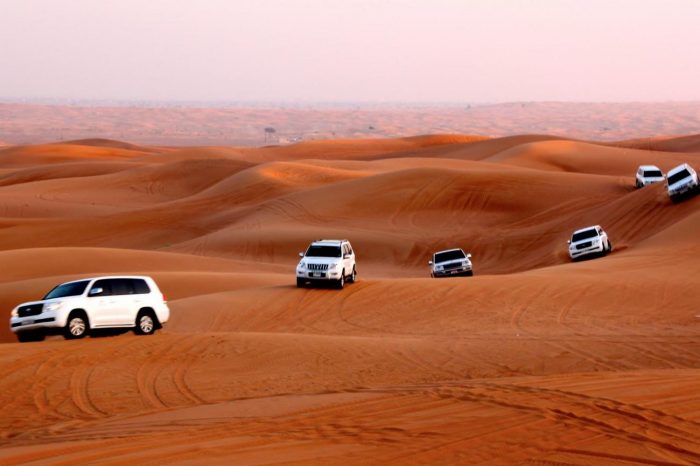 Morning Desert Safari